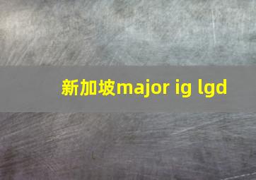 新加坡major ig lgd